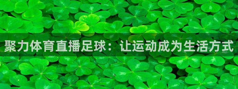 黑白直播体育nba直播在线看：聚力体育直播足球：让运动成为生活方式
