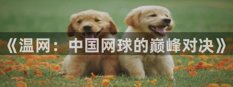 nba在线观看免费观看黑白直播：《温网：中国网球的巅峰对决》