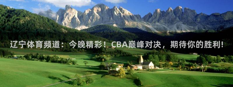 黑白直播nba赛事免费观看：辽宁体育频道：今晚精彩！CBA巅峰对决，期待你的胜利!