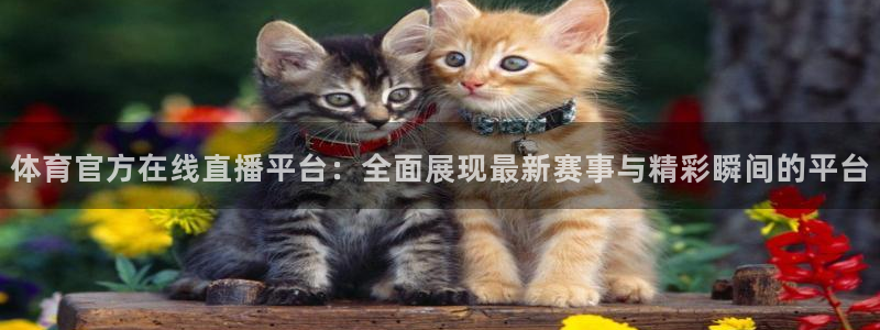 黑白直播nba直播免费观看：体育官方在线直播平台：全面展现最新赛事与精彩瞬间的平台