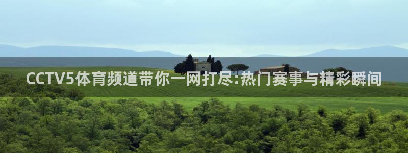 黑白体育直播免费观看：CCTV5体育频道带你一网打尽:热门赛事与精彩瞬间