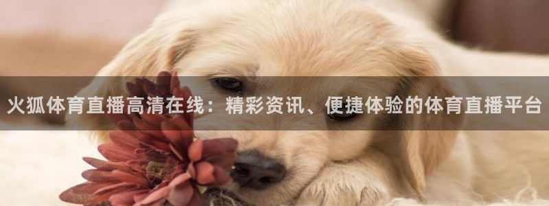 jrs黑白直播体育：火狐体育直播高清在线：精彩资讯、便捷体验的体育直播平台