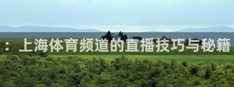 黑白直播jrs直播：：上海体育频道的直播技巧与秘籍