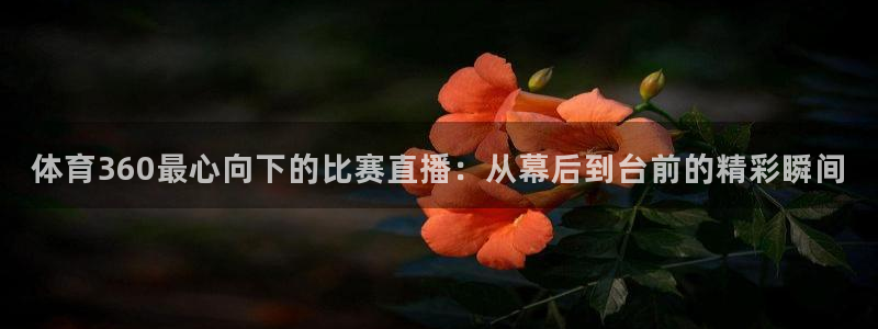 黑白直播足球直播：体育360最心向下的比赛直播：从幕后到台前的精彩瞬间