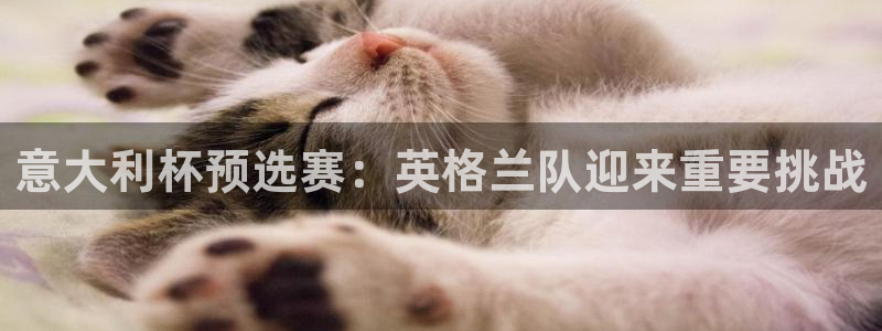 黑白足球直播吧：意大利杯预选赛：英格兰队迎来重要挑战