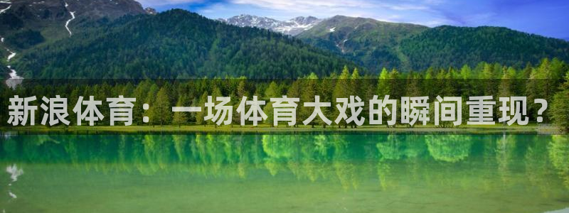 黑白直播足球直播直播：新浪体育：一场体育大戏的瞬间重现？