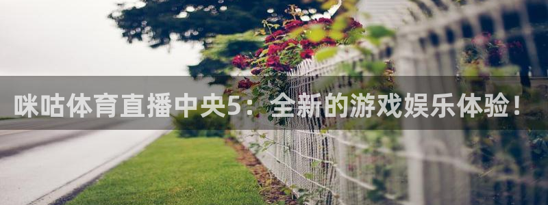 黑白体育ufc直播：咪咕体育直播中央5：全新的游戏娱乐体验！