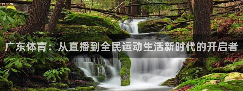 黑白直播体育足球：广东体育：从直播到全民运动生活新时代的开启者